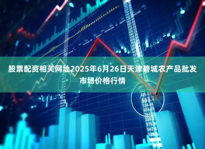 股票配资相关网址2025年6月26日天津碧城农产品批发市场价格行情