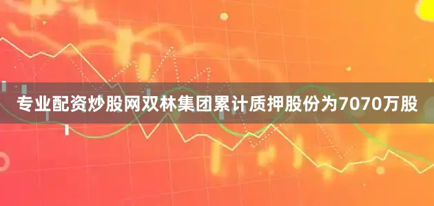 专业配资炒股网双林集团累计质押股份为7070万股